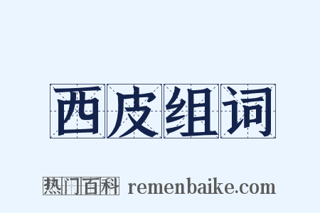 西皮组词是什么意思的图片